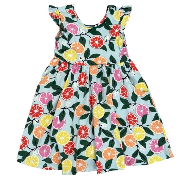 Hanna Andersson Other - Hanna Andersson Multicolor Fruit Print Dress